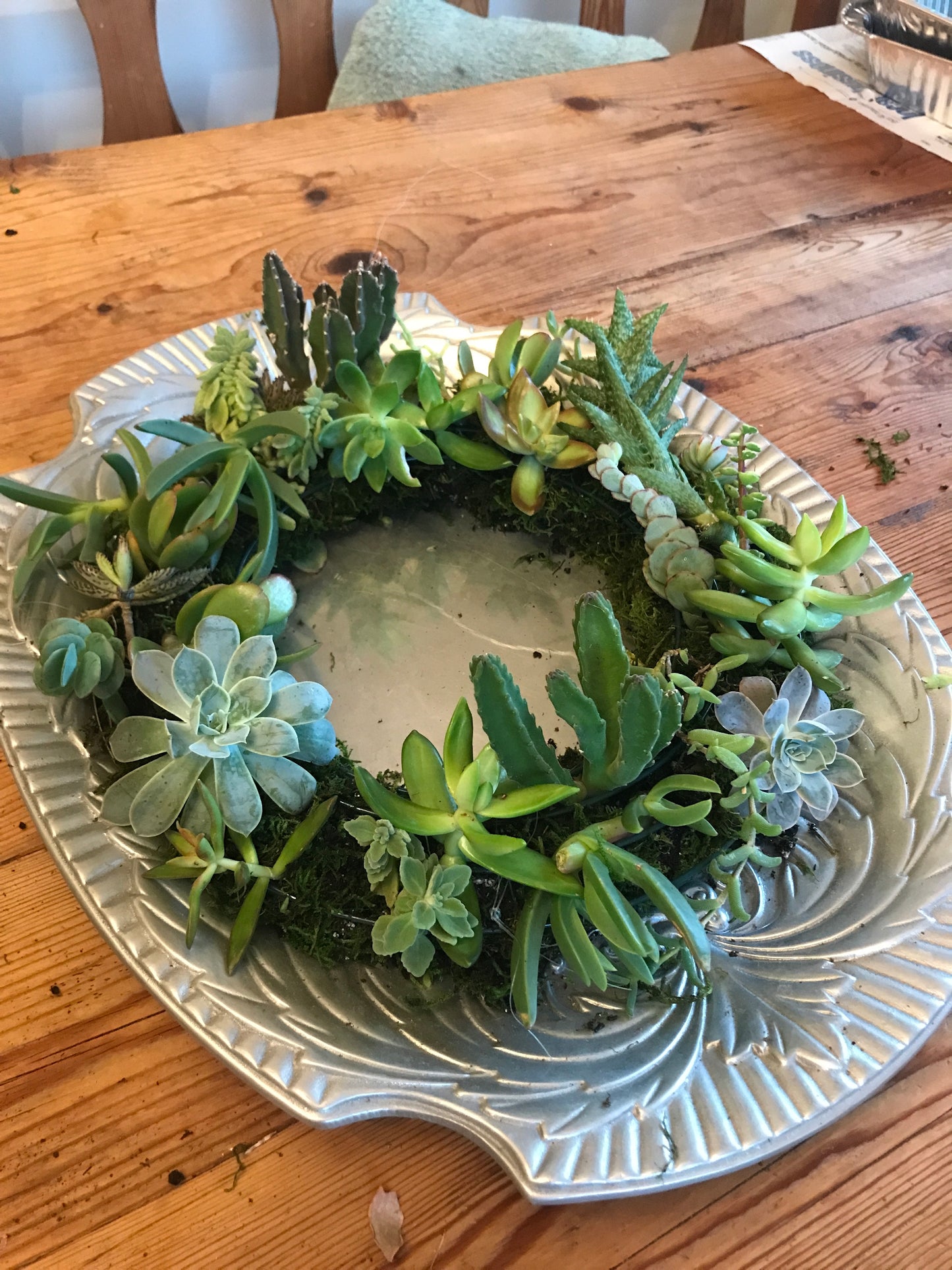 Succulent Wreath